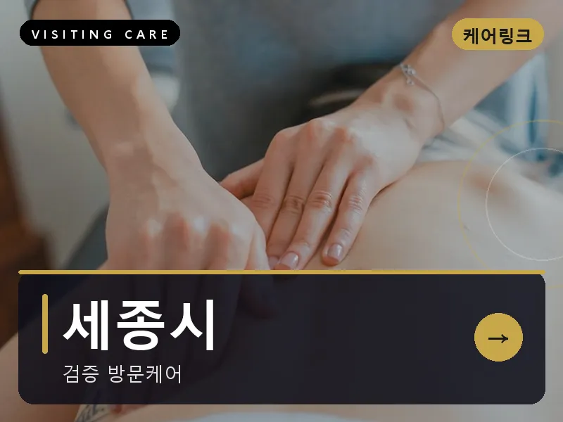 세종 세종시 출장마사지 세종 리버케어 건식